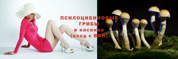 ПСИЛОЦИБИНОВЫЕ ГРИБЫ Алексеевка