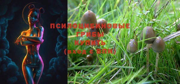 ПСИЛОЦИБИНОВЫЕ ГРИБЫ Алексеевка